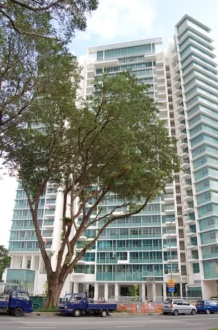 The Chuan (Unit B)