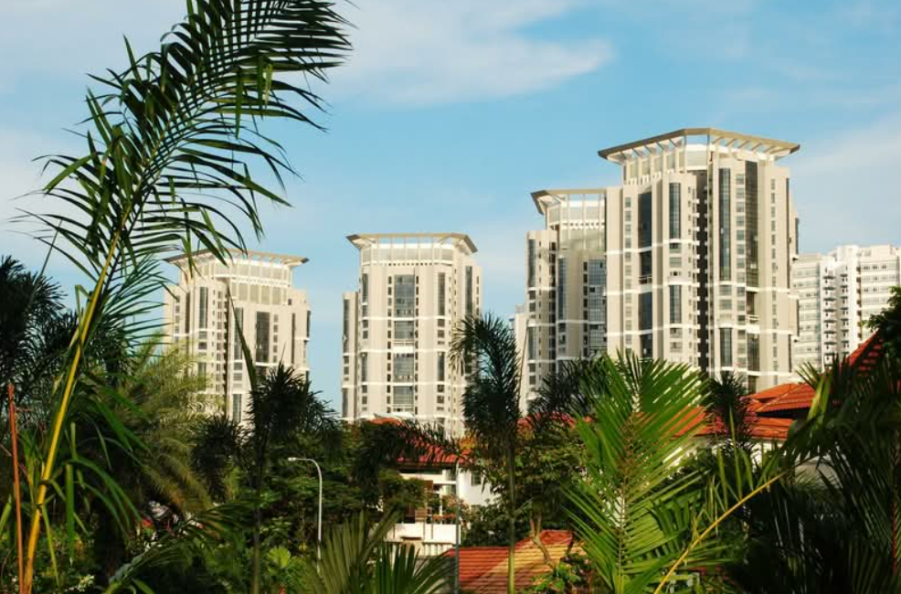 The Bayshore