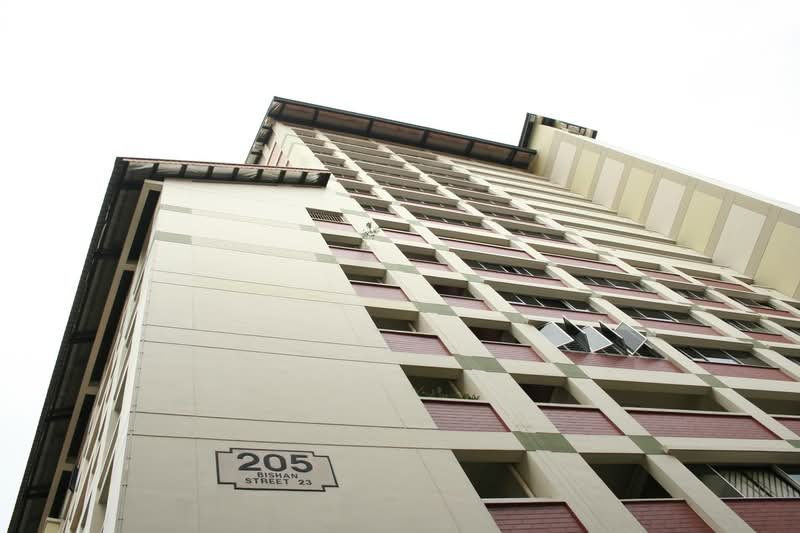 205 Bishan Street 23