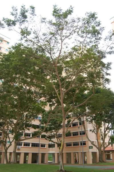 830 Jurong West Street 81
